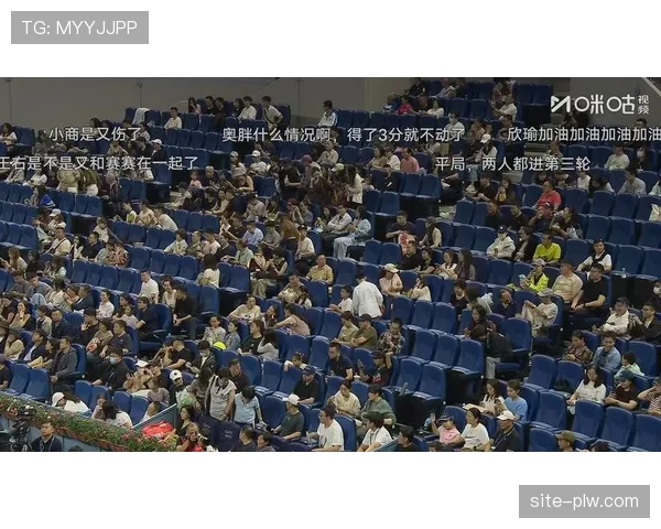 主场球迷上座率对比 德比战仍能吸引大量观众